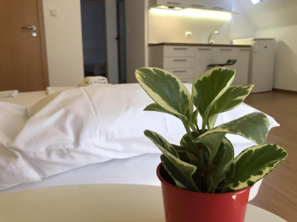Aparthotel Elly - 8