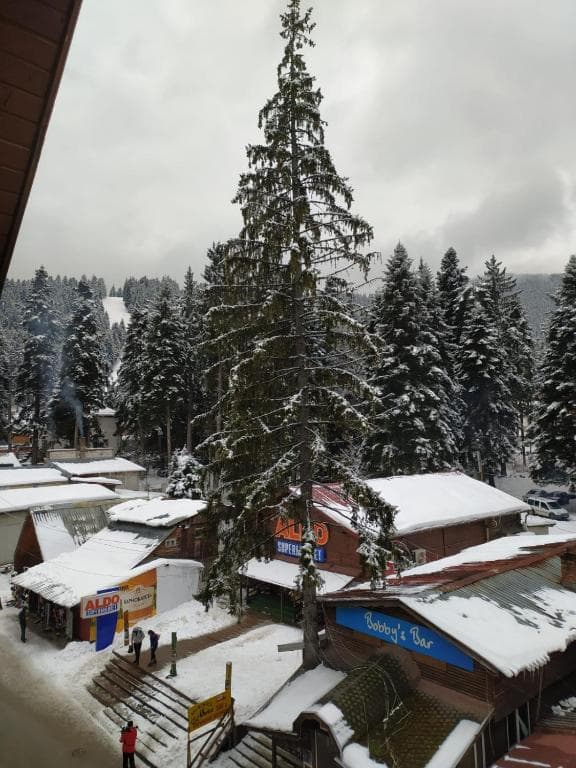 BOROVETS Royal Plaza - 3